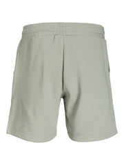 JPSTNEWSOFT Shorts - Wrought Iron