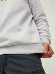 سويت شيرت رمادي فاتح – لقطة مقربة لتفاصيل الخامة