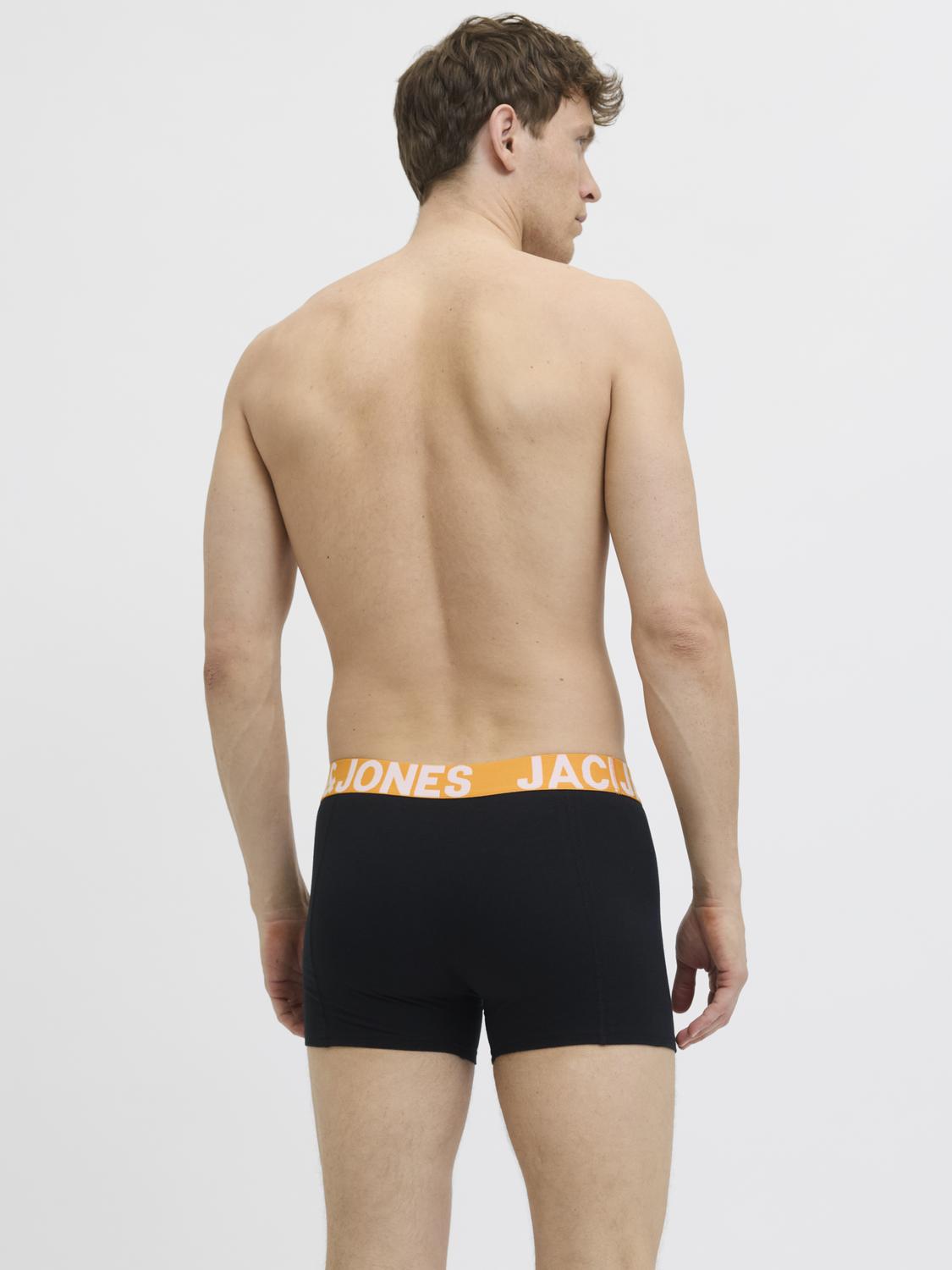 model_shot-back