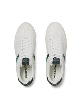 model_shot-front_full