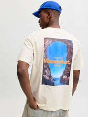 model_shot-creative