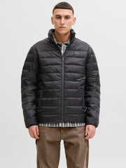 model_shot-front