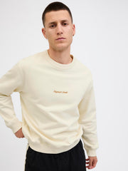 model_shot-creative