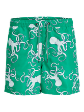 pack_shot-front