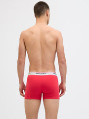 model_shot-back