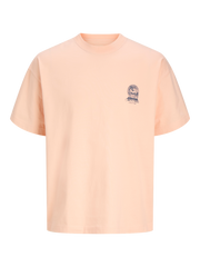 pack_shot-front
