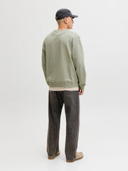 model_shot-back