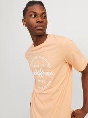 model_shot-creative