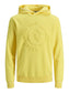 JCOSPRING Pullover - Celandine