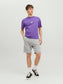 JPSTSHARK Shorts - Light Grey Melange