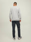 JCOBERG Sweat - Light Grey Melange