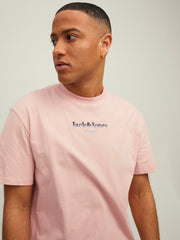model_shot-creative