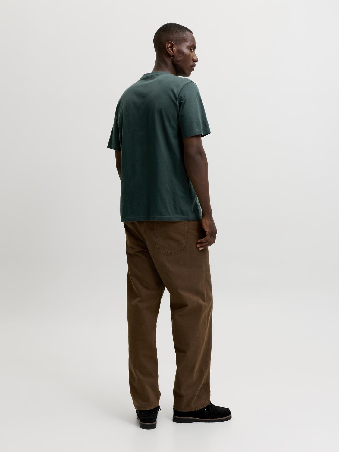 model_shot-back