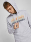 JORBRADY Sweat - Light Grey Melange