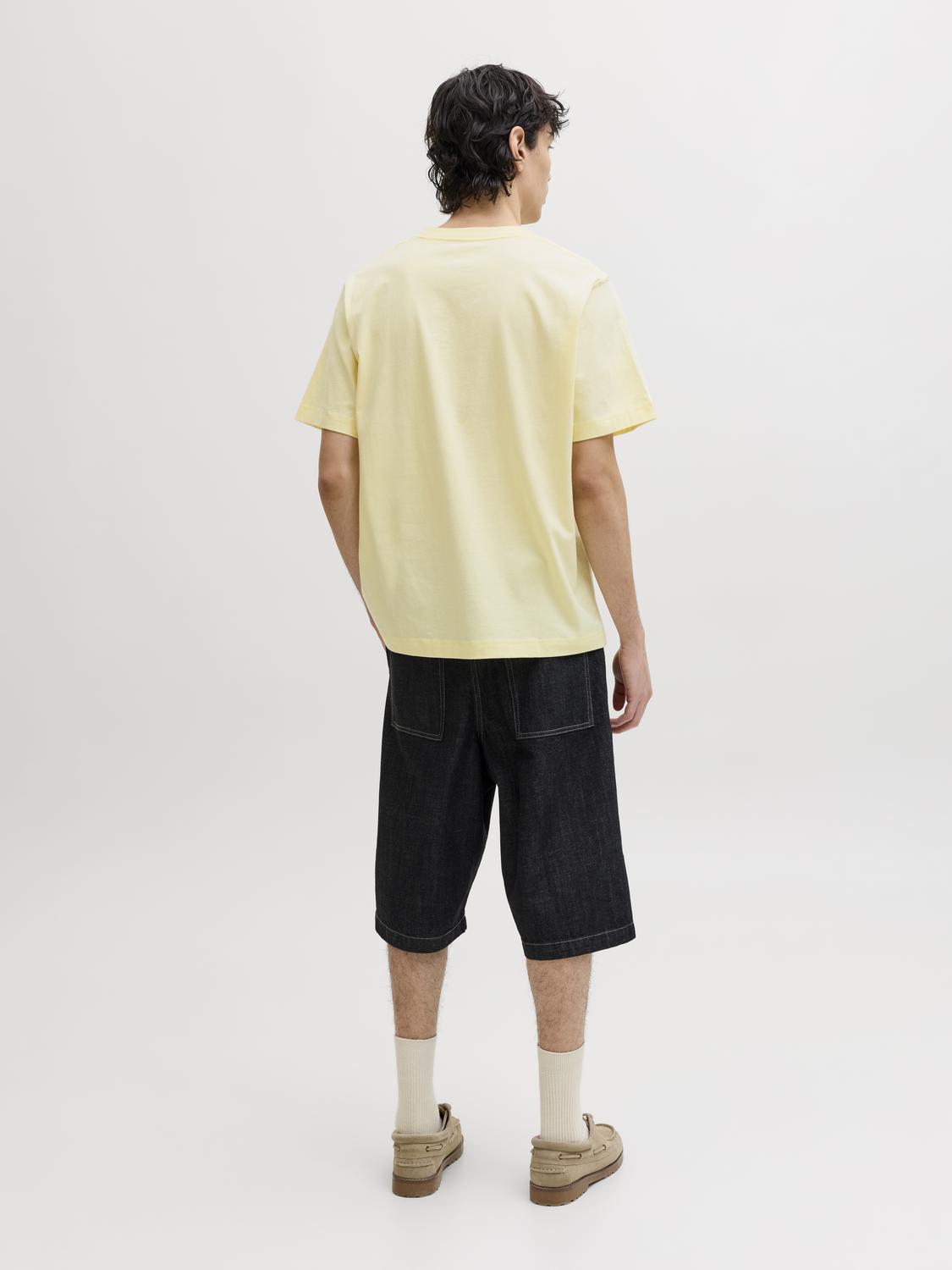 model_shot-back