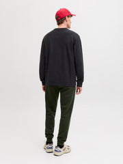 model_shot-back