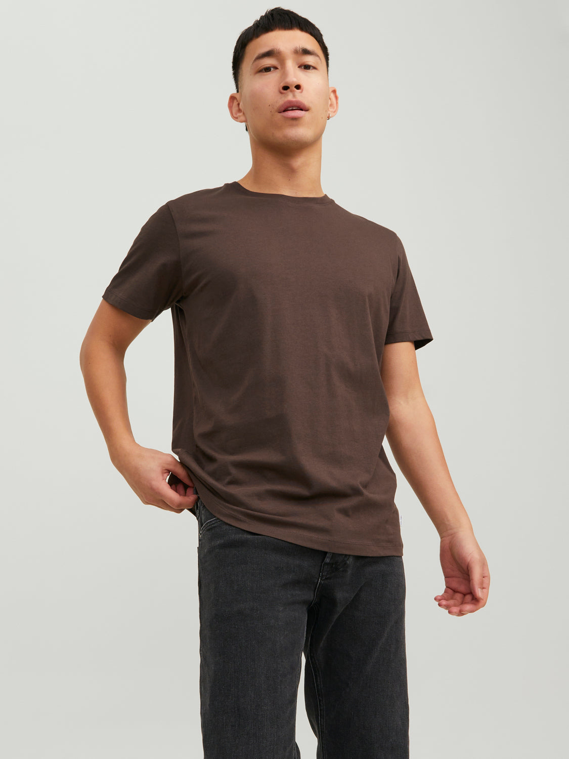 JJEORGANIC T-Shirt - Seal Brown