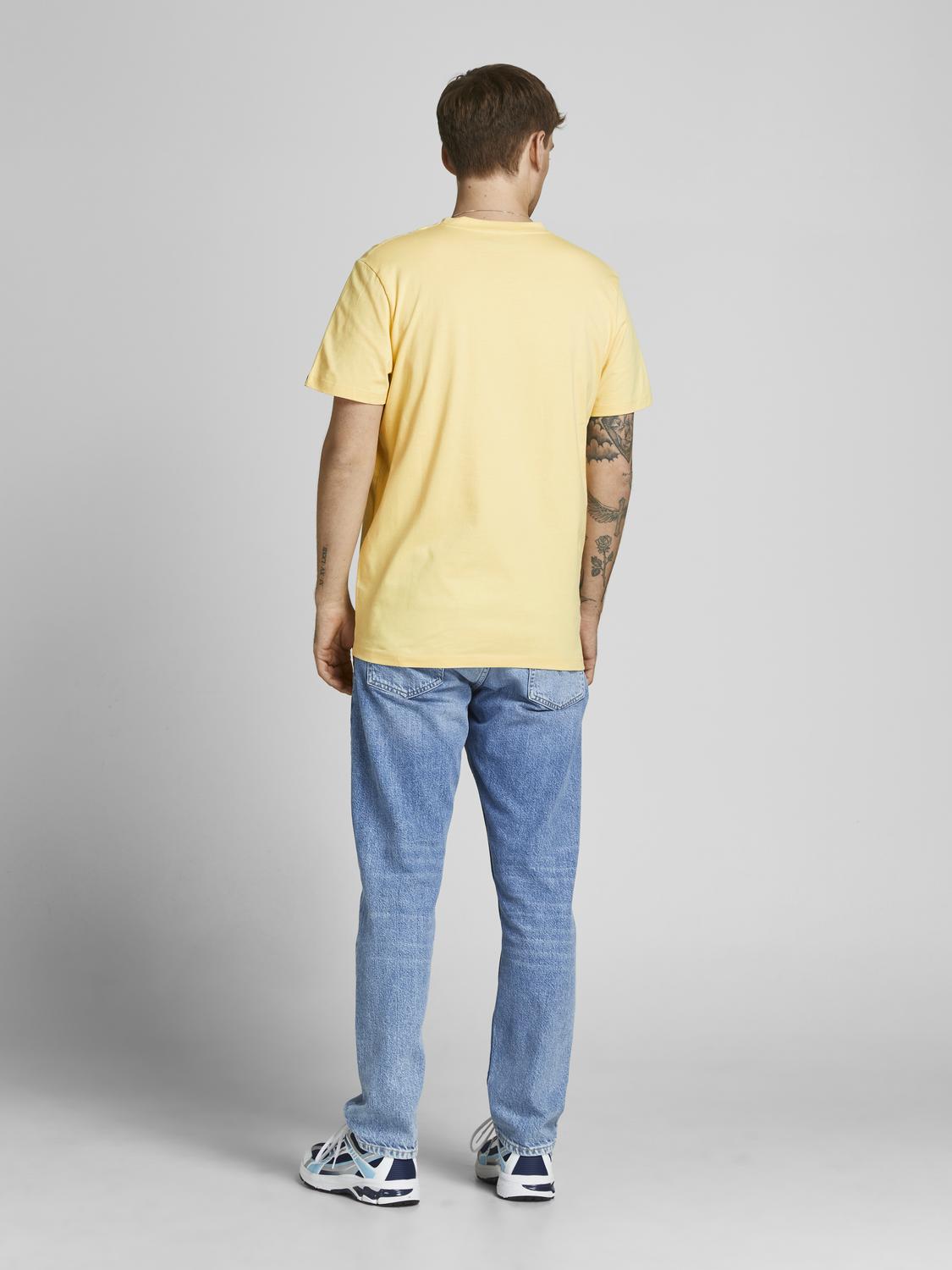 model_shot-back
