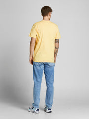 model_shot-back