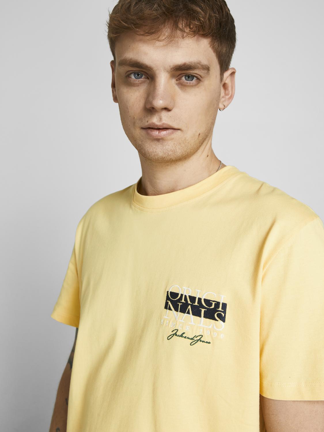 model_shot-creative