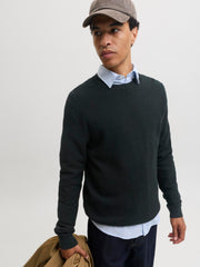 model_shot-creative