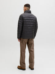 model_shot-back