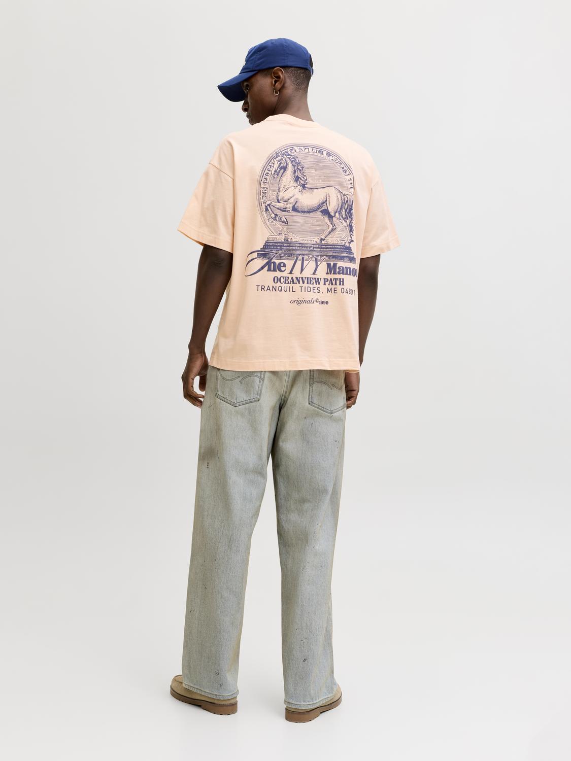 model_shot-back