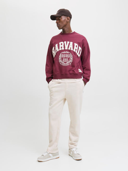 model_shot-front_full