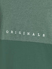 model_shot-detail