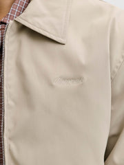 model_shot-detail