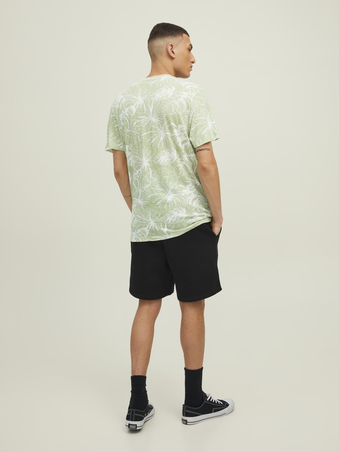 model_shot-back