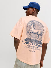 model_shot-creative