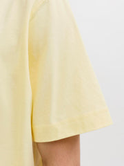 model_shot-detail