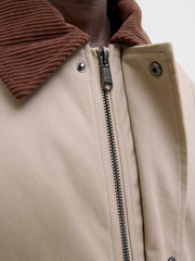 model_shot-detail