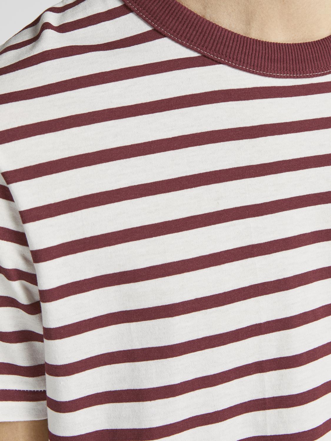 model_shot-detail