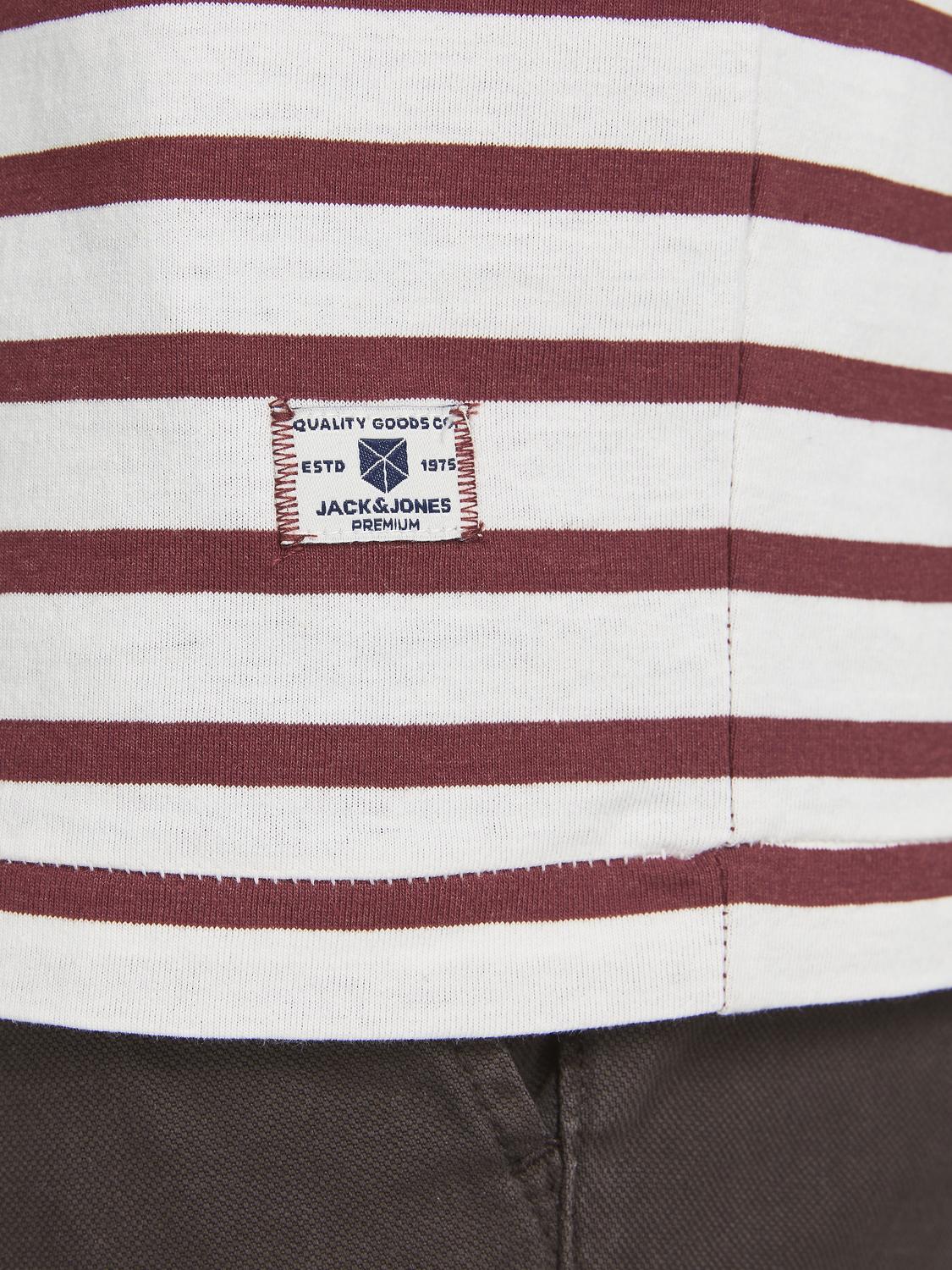 model_shot-detail