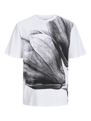 pack_shot-front