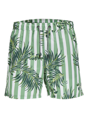 pack_shot-front