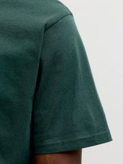 model_shot-detail