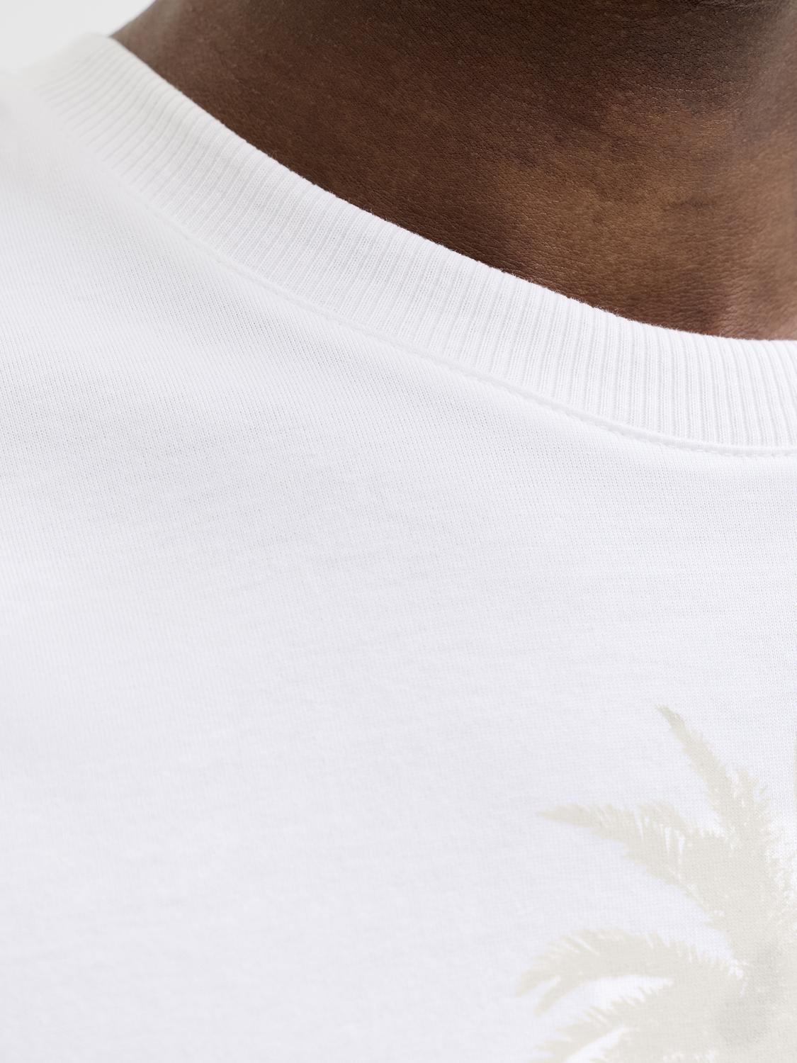model_shot-detail