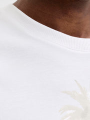 model_shot-detail