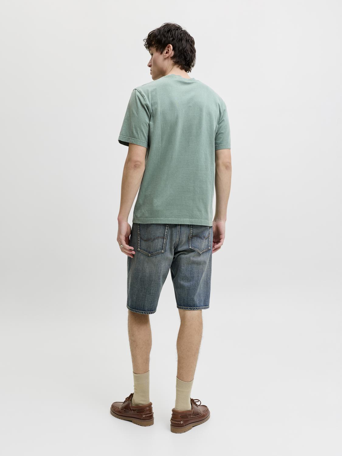 model_shot-back