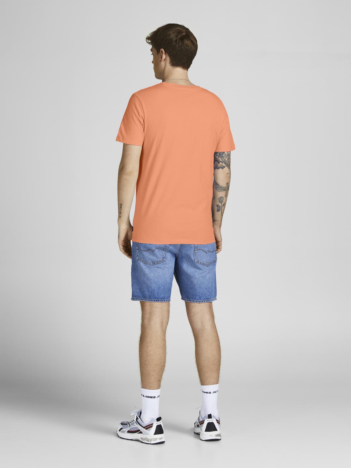 model_shot-back