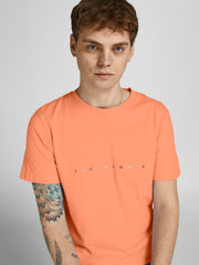 model_shot-creative