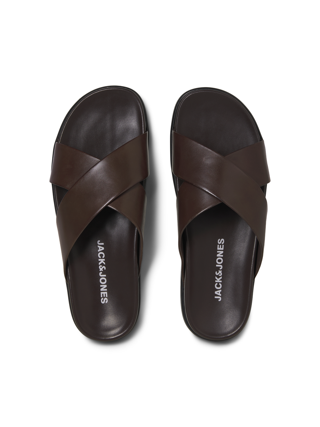 model_shot-front_full