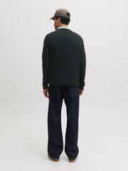model_shot-back