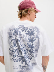 model_shot-creative