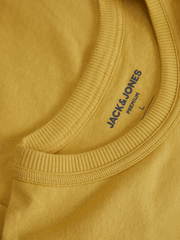 model_shot-detail