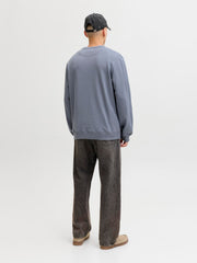 model_shot-back