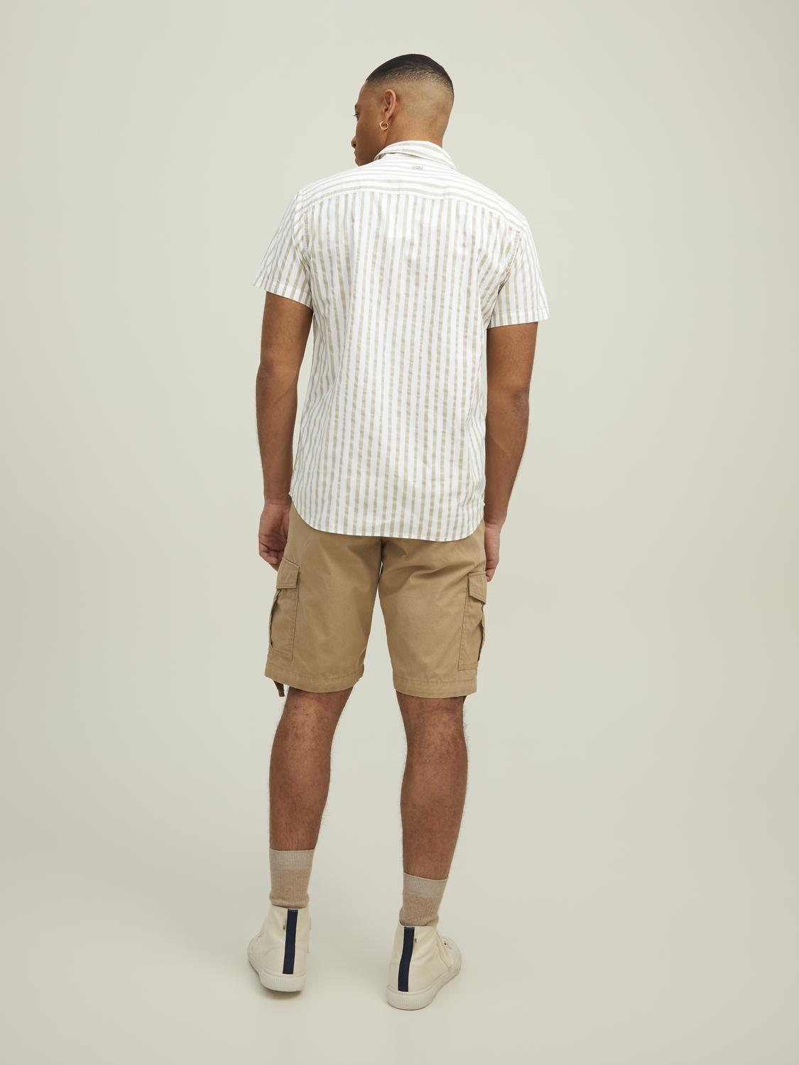 model_shot-back